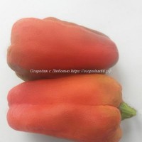 Коллекционные сорта сладких перцев в магазине огородик с любовью - Огородикс Любовью